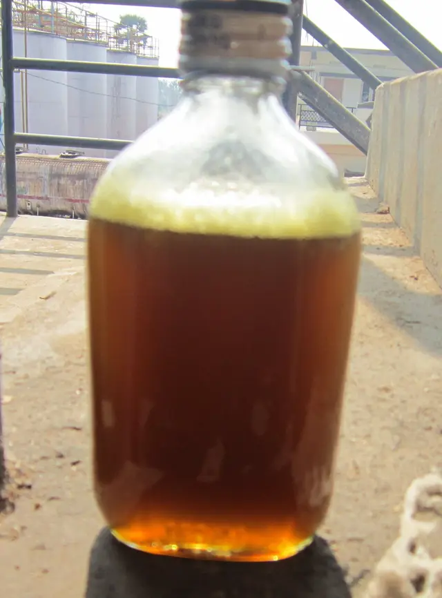 Rice Bran Refined Oil