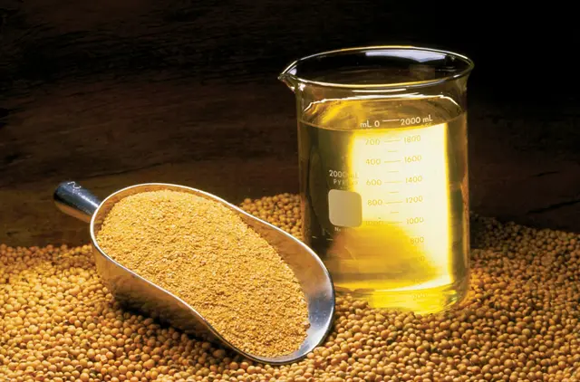Soya Refined Oil