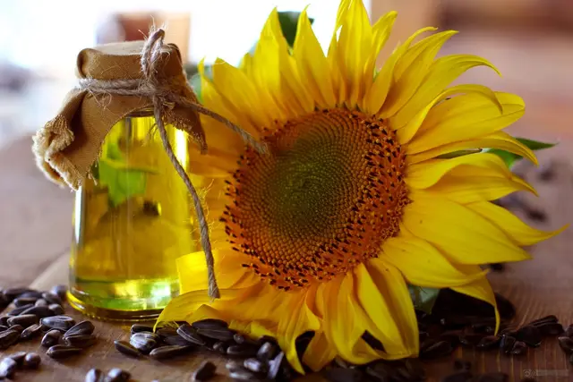 Sunflower Refined Oil